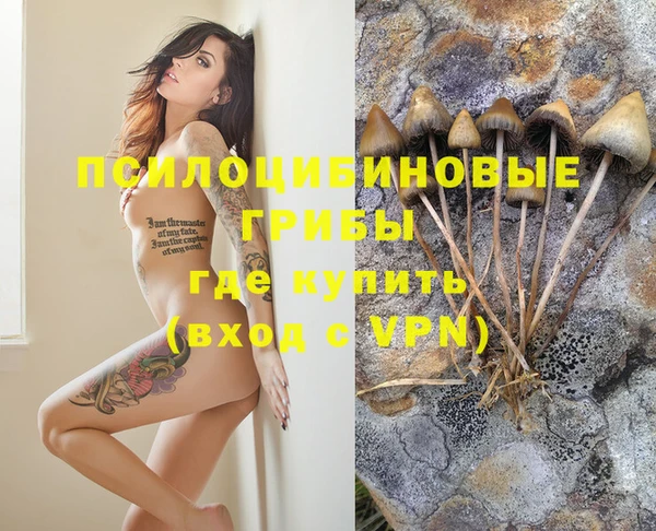 ГАЛЛЮЦИНОГЕННЫЕ ГРИБЫ Беломорск