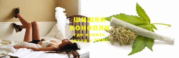 метадон Белокуриха