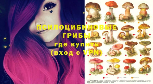 ГАЛЛЮЦИНОГЕННЫЕ ГРИБЫ Беломорск