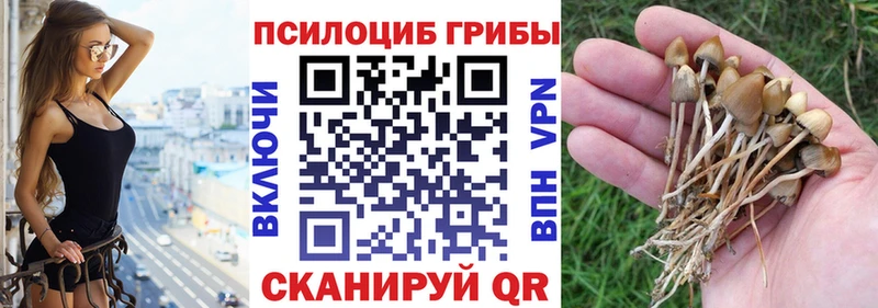 Галлюциногенные грибы мицелий Малая Вишера